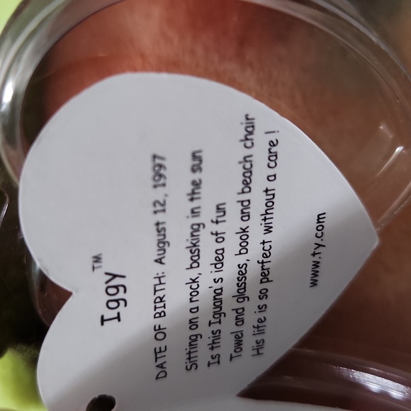 TY beanie Baby  Rainbow tag error states Iggy.  1997 - Picture 2 of 12